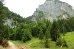 2014-07-05_Laengental-N-Hochweg (395). JPG